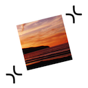 ExactScan Pro