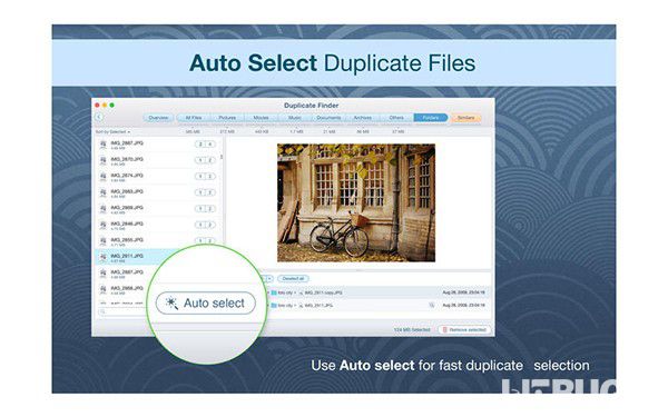 Duplicate File Finder Pro下载