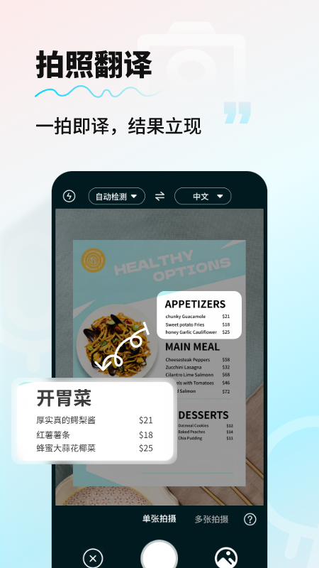 AI智能翻译通