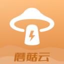 蘑菇云