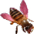 CAD2jpg