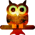野兔谷日志宝