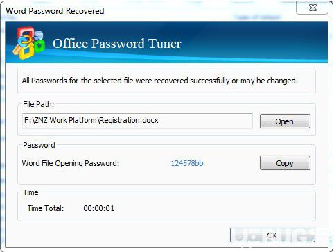 Cocosenor Office Password Tuner(Office密码恢复工具)