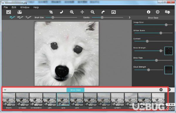 Snow Daze(照片雪景效果添加软件)v1.20官方版【3】
