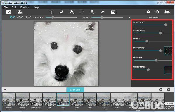 Snow Daze(照片雪景效果添加软件)v1.20官方版【4】