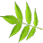 x2m decoder