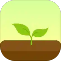 Forest专注森林