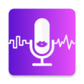 魔力变声器