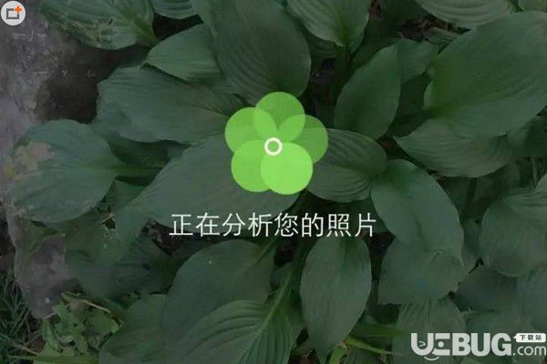 形色app下载
