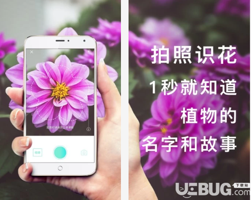 形色app下载