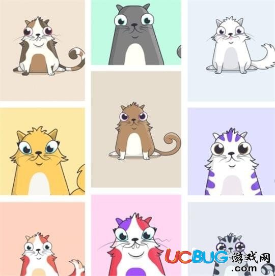 网易招财猫app官方下载