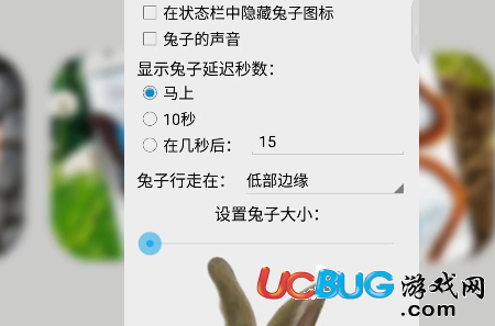 朋友圈养兔子