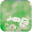 瑜伽健身运动