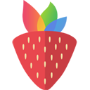 Photo Berry
