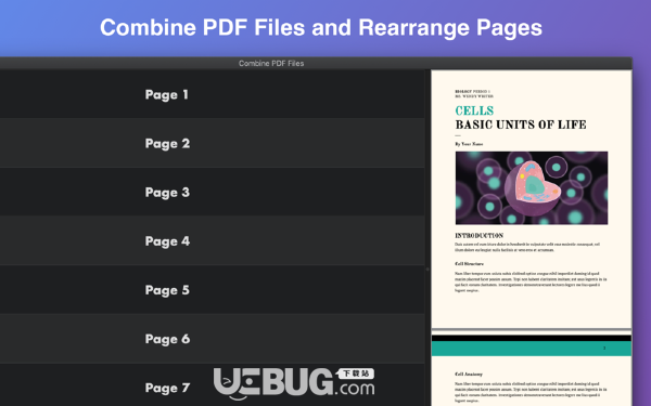 Combine PDF Files(PDF合并软件)v1.1 Mac版【3】