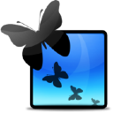 Animations