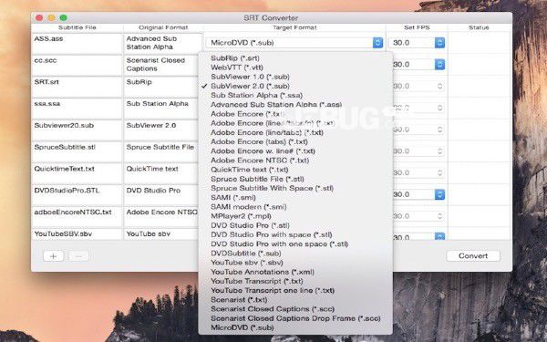 SRT Converter(SRT字幕转换器)v2.1.3 Mac版【2】