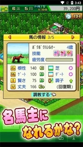 顶级跑马牧场中文版 顶级跑马牧场中文版