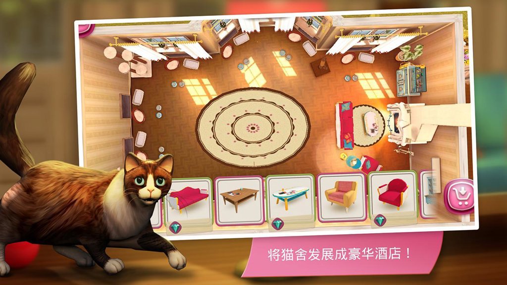 猫舍与动物之友 猫舍与动物之友