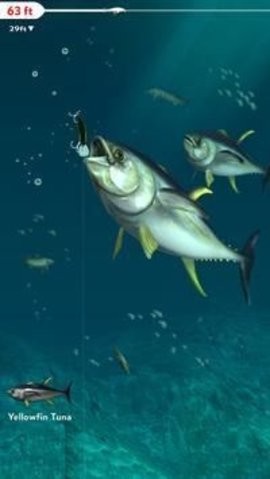 欢乐钓鱼大师破解版下载安装安卓最新版下载 欢乐钓鱼大师破解版下载安装安卓最新版下载
