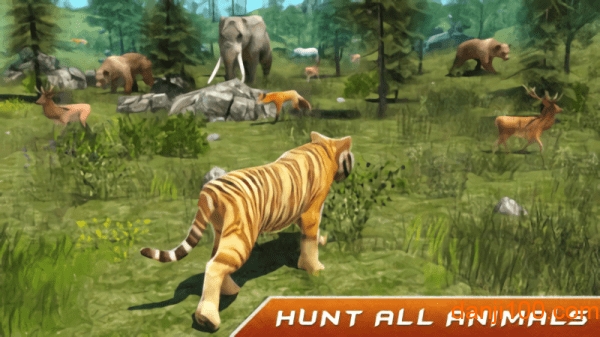 野生老虎模拟器 野生老虎模拟器