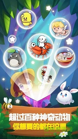 彩虹岛水果 彩虹岛水果