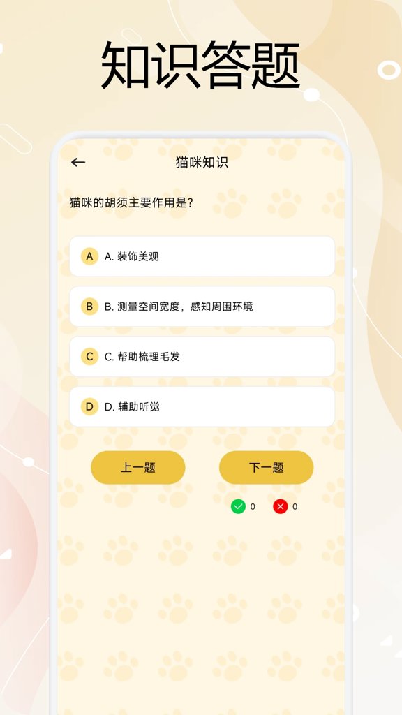 喵居物语