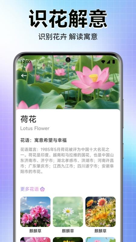 轻漫岛无广告版