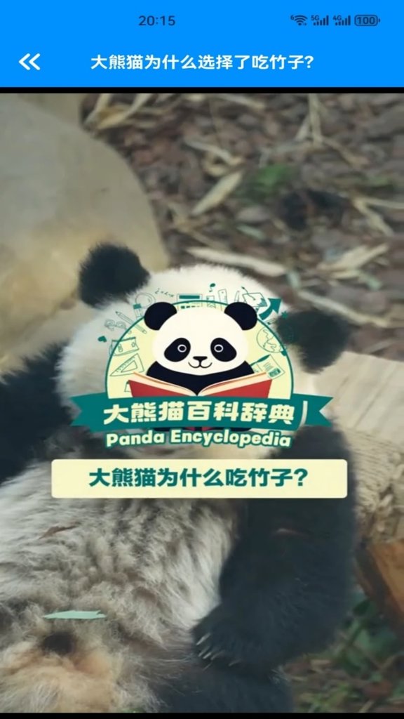 小熊猫最新版本官方安卓版