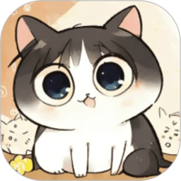 猫咪