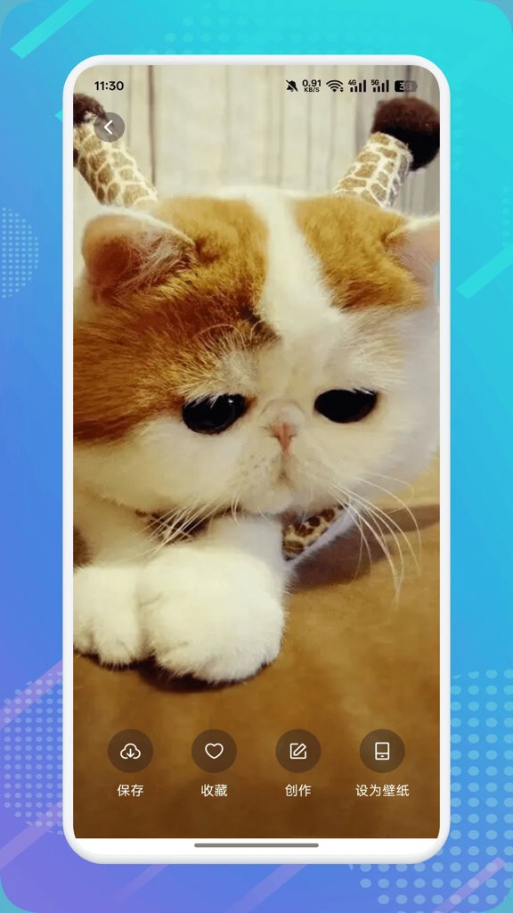 猫咪社区app官网版 猫咪社区app官网版