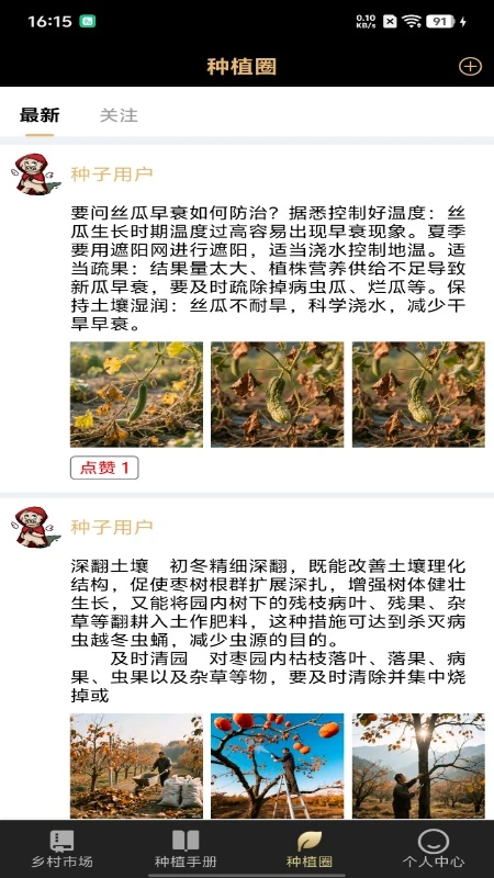 种子工具
