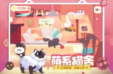 左瞄右喵ReeVoo 左瞄右喵ReeVoo