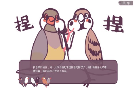 文鸟恋爱物语 文鸟恋爱物语
