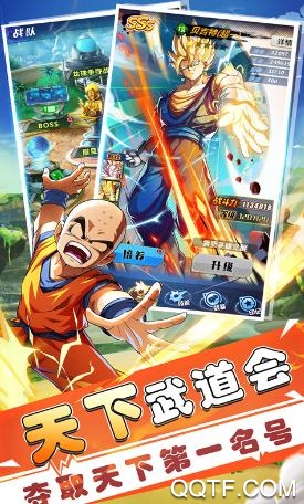 七星龙珠 七星龙珠