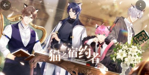 猫之宿约者游戏最新版 猫之宿约者游戏最新版