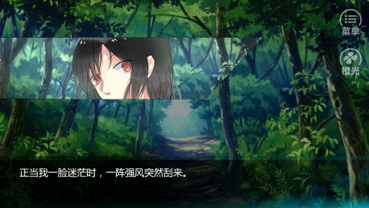 迷雾空城破解版完整版 迷雾空城破解版完整版