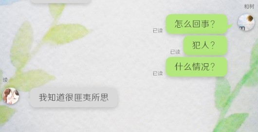我的女友在被人追赶中文版 我的女友在被人追赶中文版