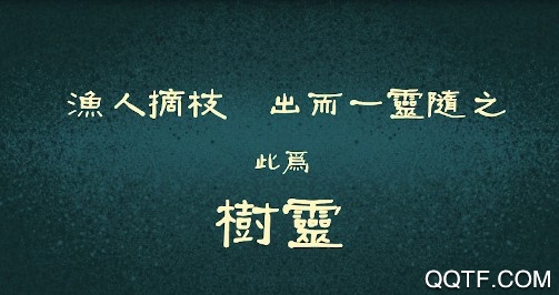 树灵官方版 树灵官方版