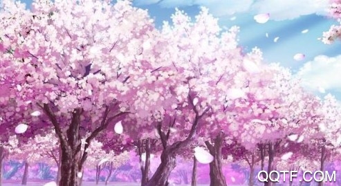 白云千载空悠悠