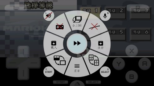 马里奥赛车ds金手指版