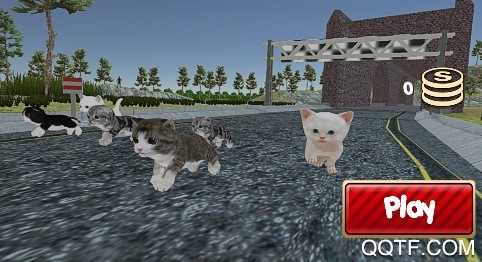 小猫对决正式版手游 小猫对决正式版手游