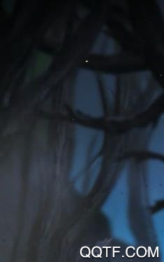 鬼魂杀手Ghost Killer手游最新版