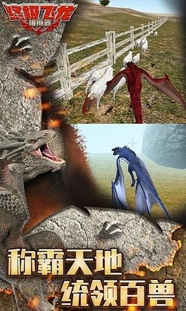 飞龙模拟器无限金币版无限经验版官网版免费2025下载 飞龙模拟器无限金币版无限经验版官网版免费2025下载