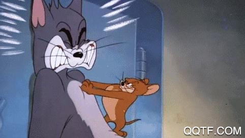 喵喵GIF-动图制作工具 喵喵GIF-动图制作工具