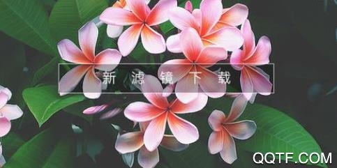 滤镜照片p图软件手机版 滤镜照片p图软件手机版