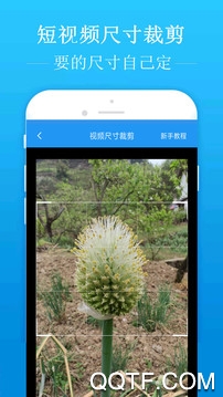 去水印吧 去水印吧