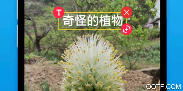 去水印吧 去水印吧