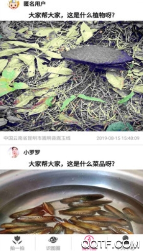 识物宝app安卓版 识物宝app安卓版