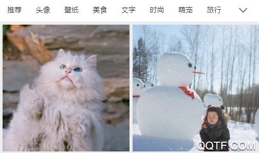 兔找找app官方版 兔找找app官方版